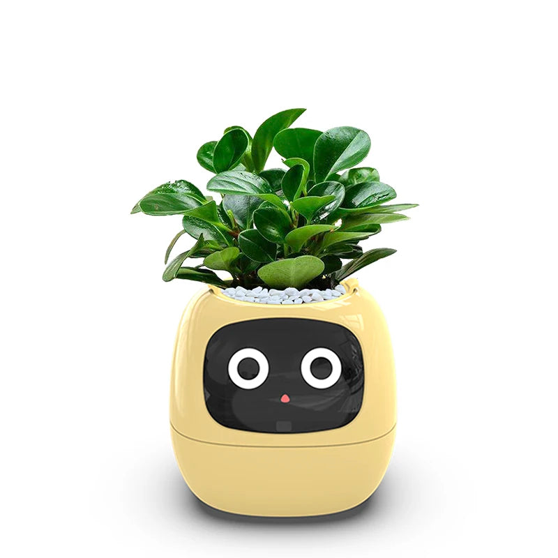 Smart Small Flower Pot